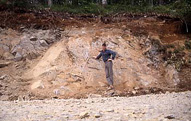 Porphyry-copper exposure at Capel Hermon SSSI