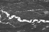 Deformed Gold-belt vein, Friog, Gwynedd