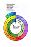 Interpretation: the 4,600 million years of geological time plotted against the human 12-month calendar - just one way of presenting this vast concept.