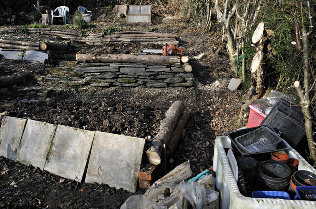 raised beds