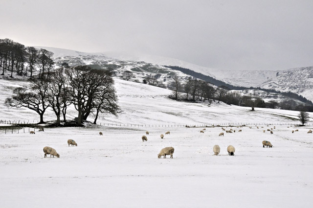 Tarrenhendre from Pennal