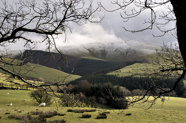 Moel Fadian