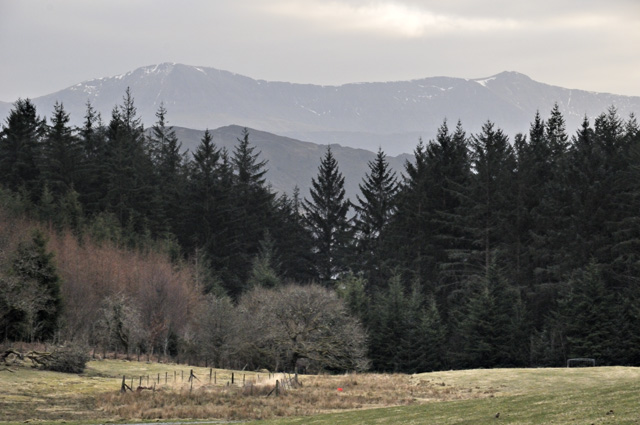 Coed y Brenin and Cadair Idris