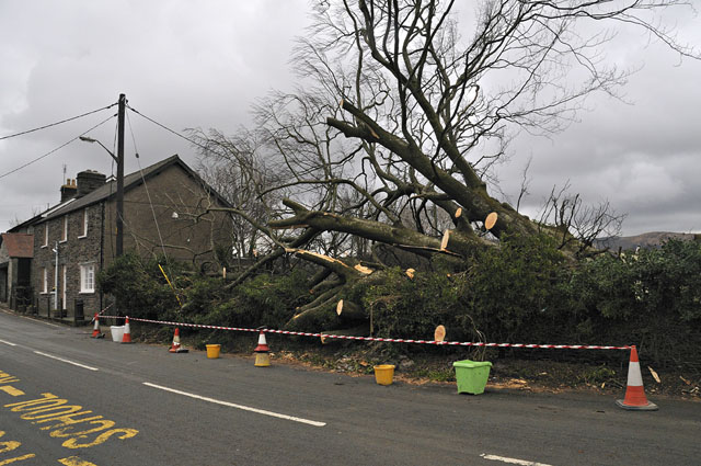 storm damage, Machynlleth district