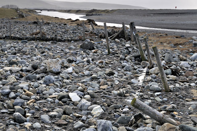 shingle
                  washed inland at Tonfanau