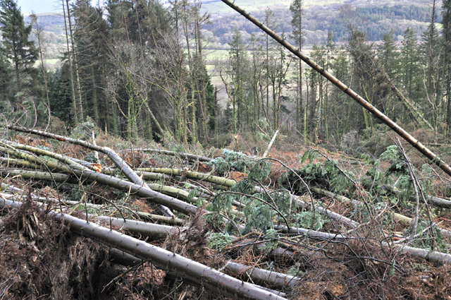 damage
                    swathe, Plas Talgarth damage swathe, Plas Talgarth