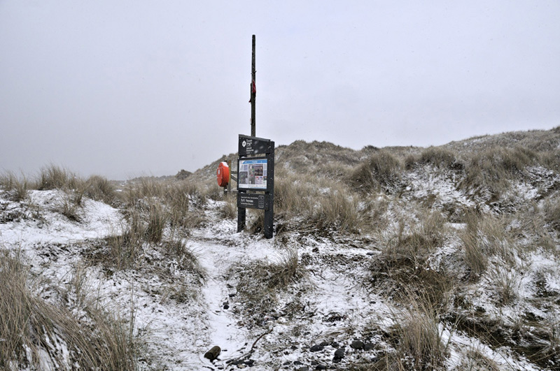 snow ynyslas