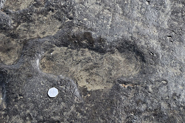 Likely human footprint, Borth