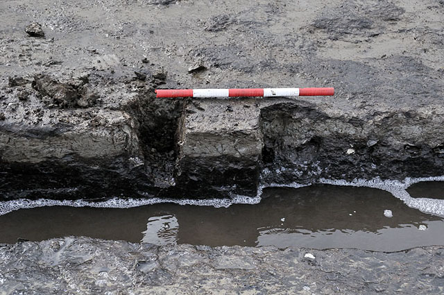 Peat beds at Borth, March 2012