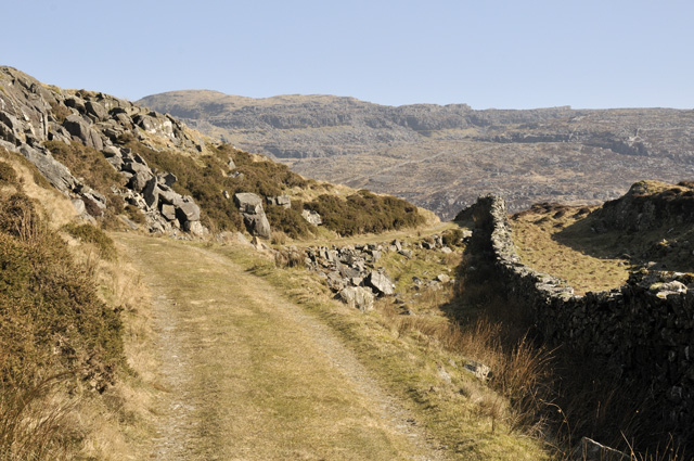 Track to Llyn Eiddew Mawr