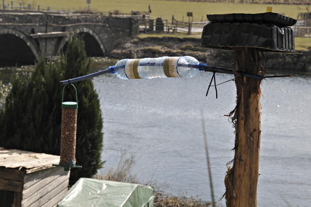 Squirrel-proof birdfeeder?