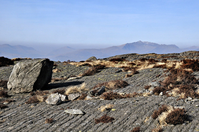 Up on the ridge, N Rhinogs