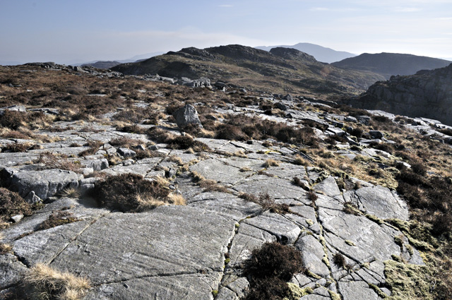 Up on the ridge, N Rhinogs