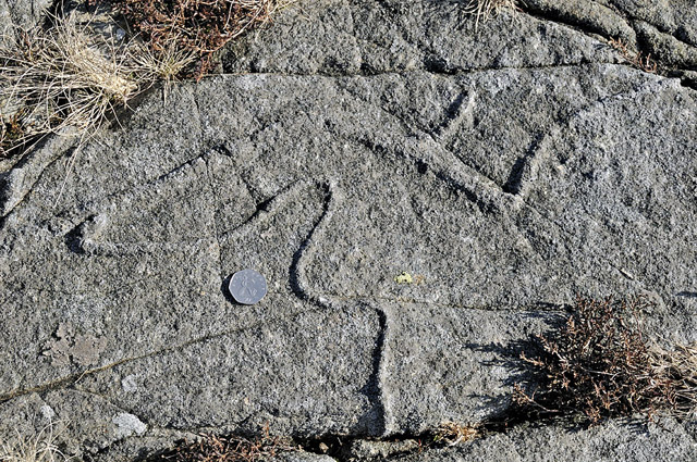 Worm burrow, Hafotty Formation