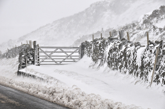 Into the blizzard - A470 west of Bwlch summit