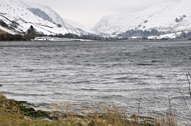 Tal-y-llyn