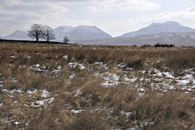 Rhinog Fawr from near Trawsfynydd