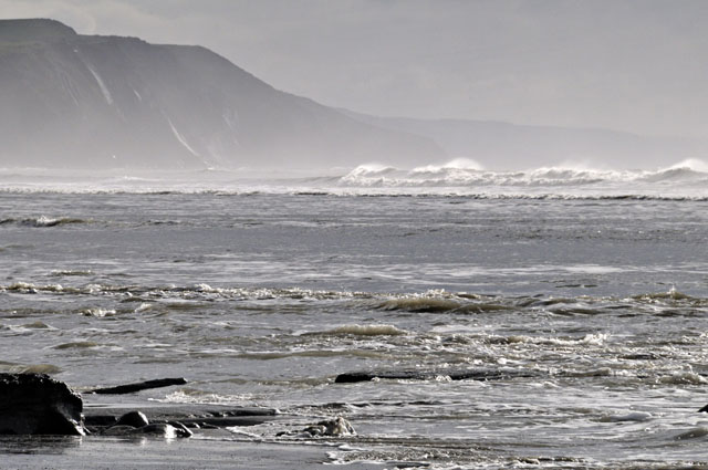 submerged
                                        forest, Borth