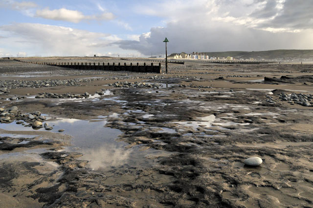 submerged
                                                forest, Borth submerged forest,
                                                Borth