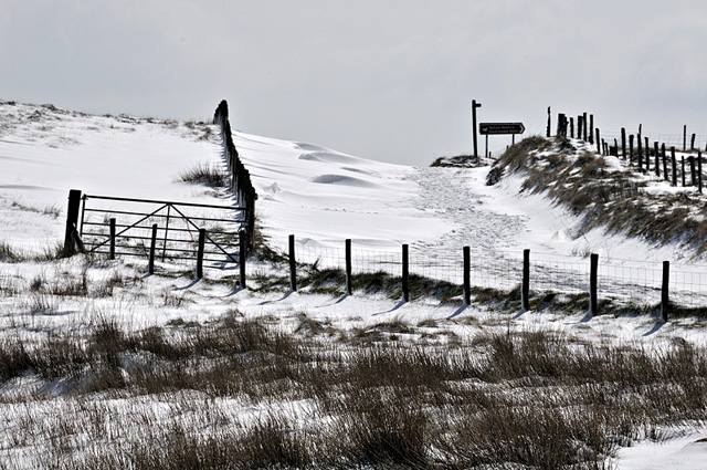 Machynlleth-Llanidloes mountain road, snowbound - April 5 2012