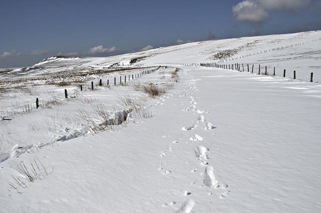 Machynlleth-Llanidloes mountain road, snowbound - April 5 2012