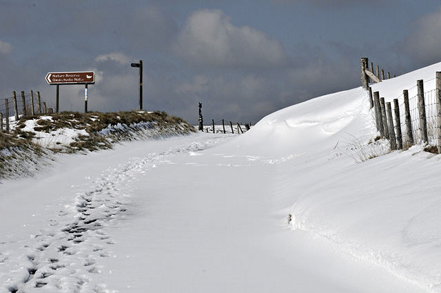 Machynlleth-Llanidloes mountain road, snowbound - April 5 2012
