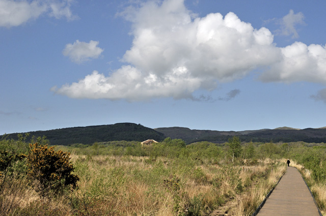 Cors Dyfi