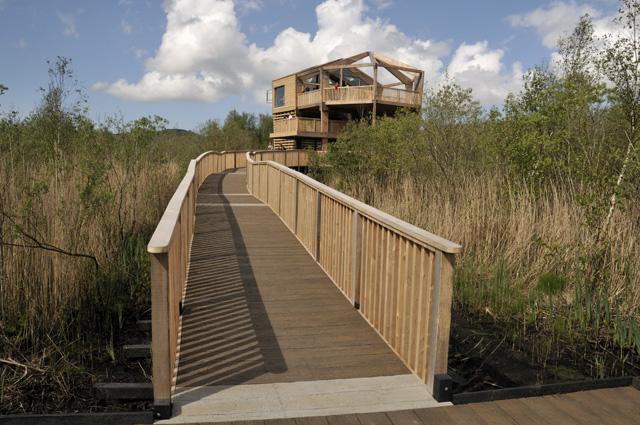Cors Dyfi