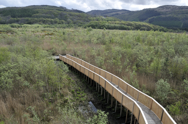 Cors Dyfi