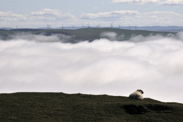 sea-fog, Cardigan Bay