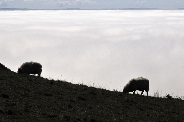 sea-fog, Cardigan Bay