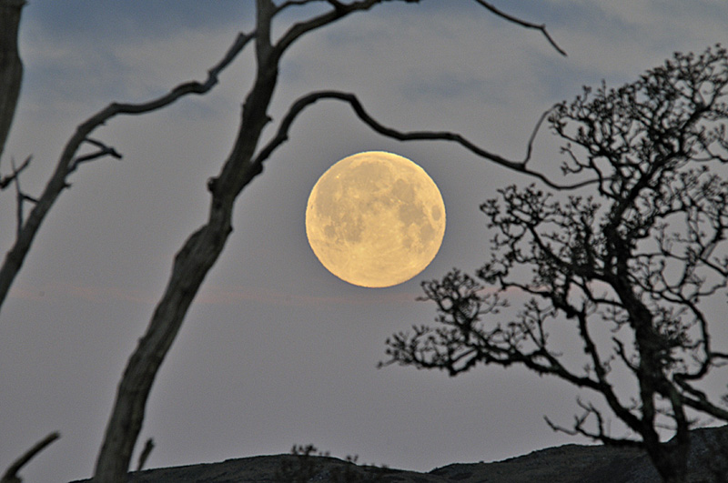 April 8th full moon