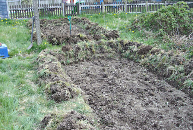 new garden project