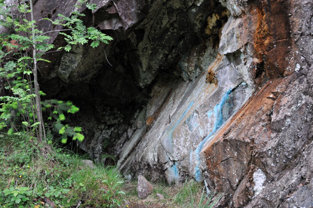 Copper-staining in trial level, Coed y Brenin