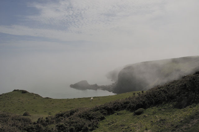 Mist
                                      on Llyn