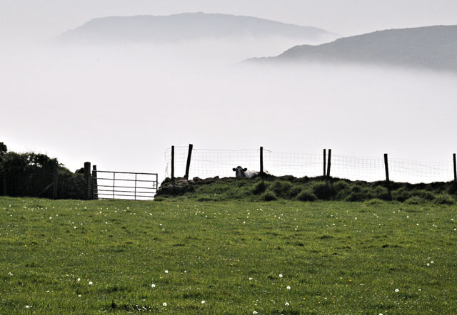 Mist on Llyn