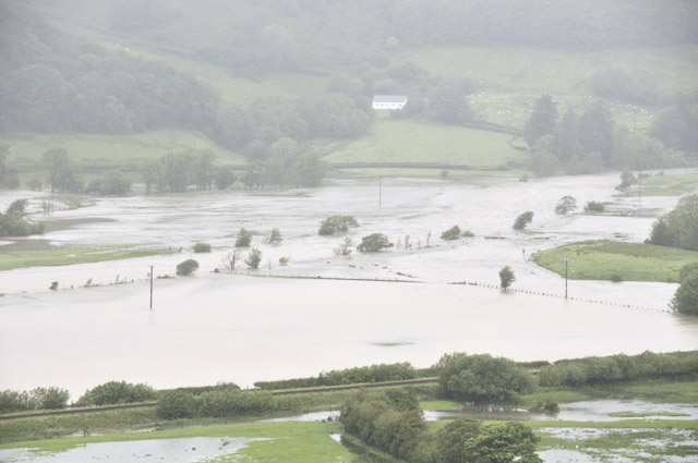 Dyfi Valley June 9th