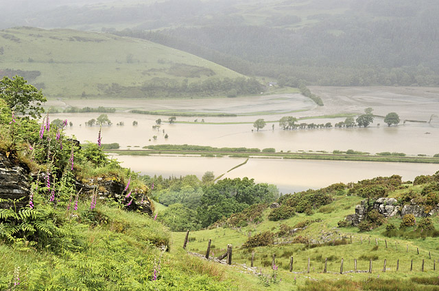 Dyfi Valley June 9th