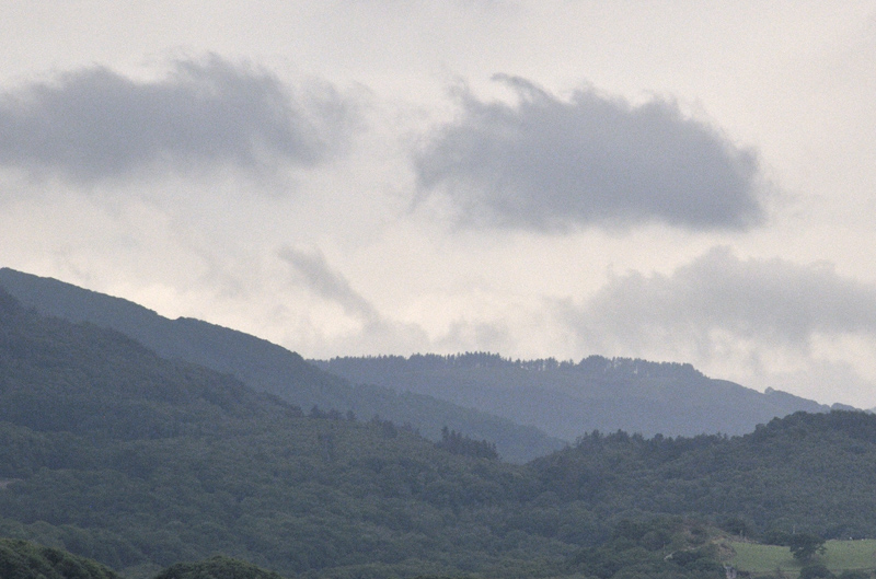 Kelvin-Helmholtz waves
