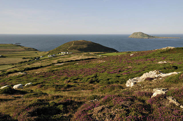 Mynydd Gwyddel and the campsite