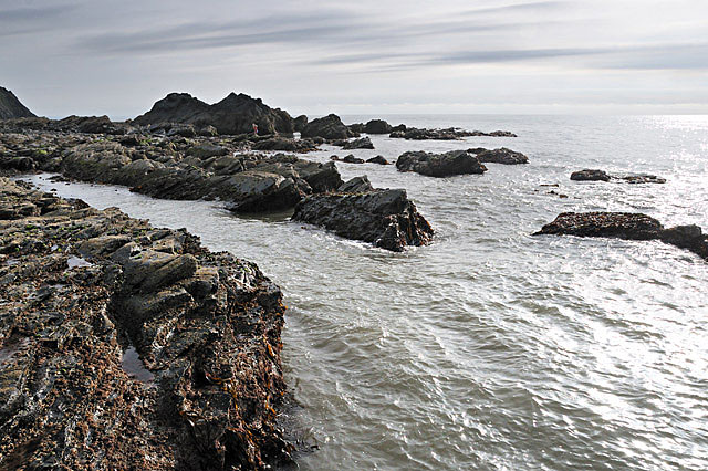 the reef south of Borth