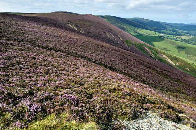 Foel Esgair y Llyn