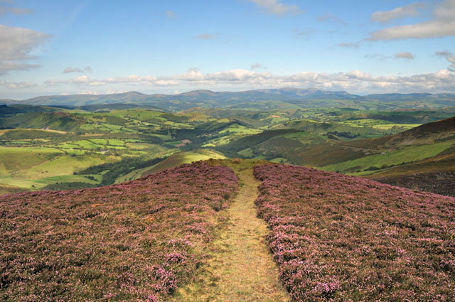 Path to the Edge, Glaslyn