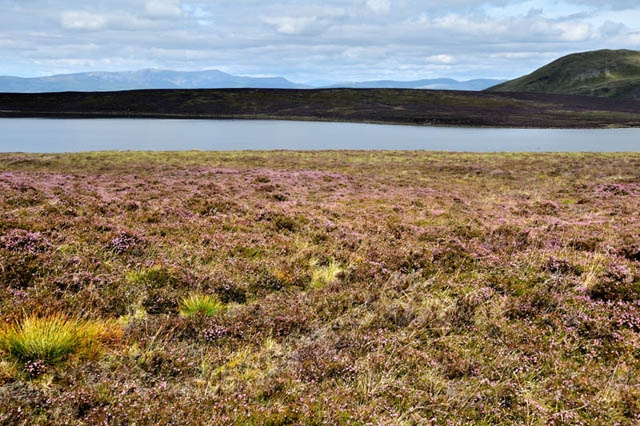 Glaslyn