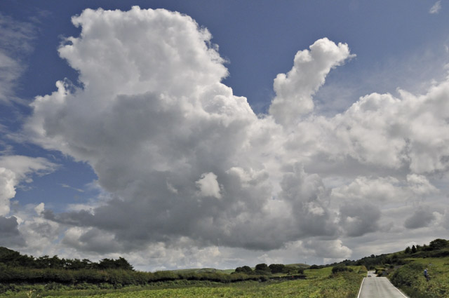 Convection firing-up from the Forge road