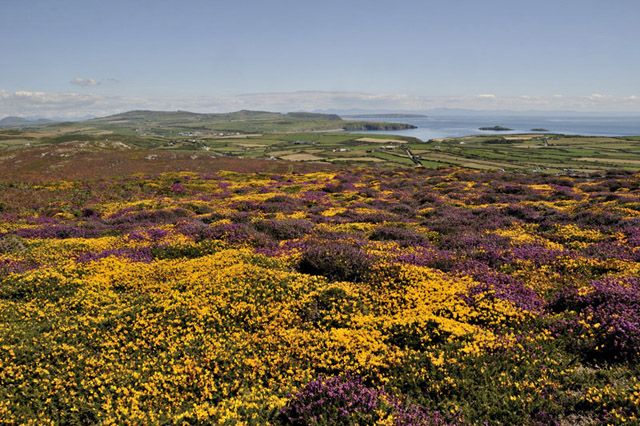 On top of Mynydd Mawr, Aberdaron