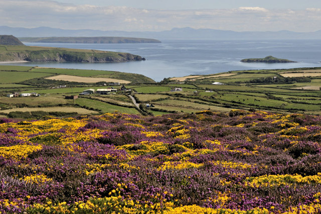 On top of Mynydd Mawr, Aberdaron