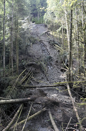 landslip, llyfnant