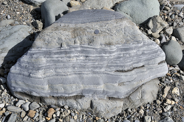 Cambrian turbidites, Tonfanau