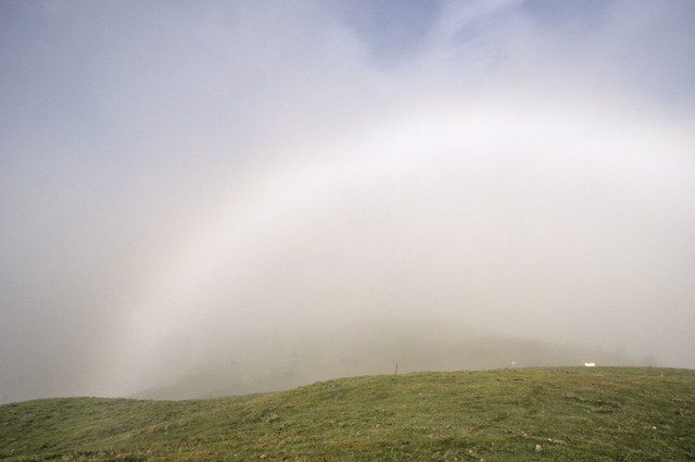 fog bow